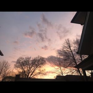 Meet your Posher, Nikki